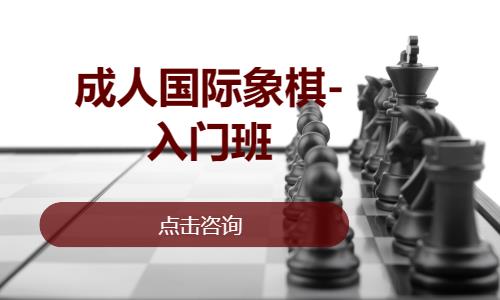 成都成人国际象棋-入门班