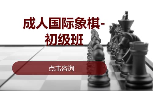 成都成人国际象棋-初级班