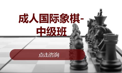 成都成人国际象棋-中级班