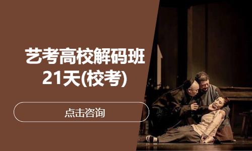 北京艺考高校解码班21天(校考)